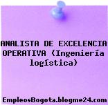 ANALISTA DE EXCELENCIA OPERATIVA (Ingeniería logística)