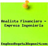Analista Financiero – Empresa Ingeniería