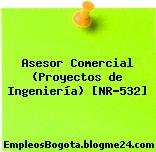 Asesor Comercial (Proyectos de Ingeniería) [NR-532]