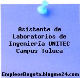 Asistente de Laboratorios de Ingeniería UNITEC Campus Toluca
