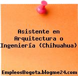 Asistente en Arquitectura o Ingeniería (Chihuahua)