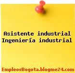Asistente industrial Ingeniería industrial