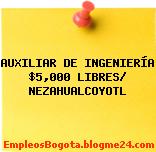 AUXILIAR DE INGENIERÍA $5,000 LIBRES/ NEZAHUALCOYOTL