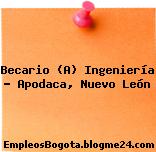 Becario (A) Ingeniería – Apodaca, Nuevo León