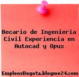 Becario de Ingenieria Civil Experiencia en Autocad y Opus