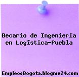 Becario de Ingeniería en Logística-Puebla