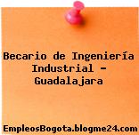 Becario de Ingeniería Industrial – Guadalajara