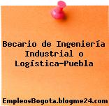 Becario de Ingeniería Industrial o Logística-Puebla