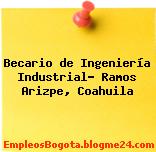 Becario de Ingeniería Industrial- Ramos Arizpe, Coahuila