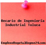 Becario de Ingeniería Industrial- Toluca