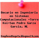 Becario en Ingeniería en Sistemas Computacionales -Torre Koi-San Pedro Garza Garcia, NL
