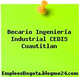 Becario Ingeniería Industrial CEDIS Cuautitlan