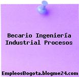 Becario Ingeniería Industrial Procesos