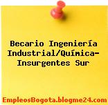 Becario Ingeniería Industrial/Química- Insurgentes Sur