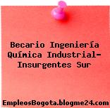 Becario Ingeniería Química Industrial- Insurgentes Sur