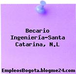 Becario Ingeniería-Santa Catarina, N.L