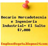 Becario Mercadotecnia e Ingeniería Industrial- El Salto $7,000