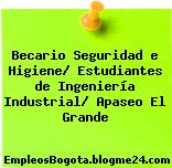 Becario Seguridad e Higiene/ Estudiantes de Ingeniería Industrial/ Apaseo El Grande