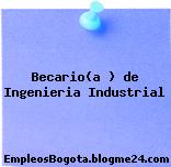 Becario(a ) de Ingenieria Industrial