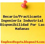 Becario/Practicante Ingeniería Industrial Disponibilidad Por Las Mañanas