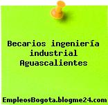 Becarios ingeniería industrial Aguascalientes
