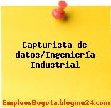 Capturista de datos/Ingeniería Industrial