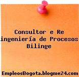 Consultor e Re ingeniería de Procesos Bilinge