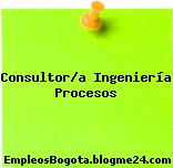 Consultor/a Ingeniería Procesos