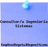 Consultor/a Ingeniería Sistemas