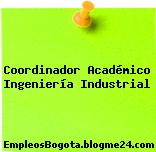 Coordinador Académico Ingeniería Industrial