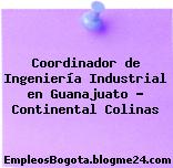 Coordinador de Ingeniería Industrial en Guanajuato – Continental Colinas