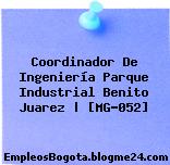 Coordinador De Ingeniería Parque Industrial Benito Juarez | [MG-052]