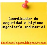 Coordinador de seguridad e higiene Ingeniería Industrial
