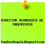 DIRECTOR ACADEMICO DE INGENIERIA