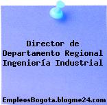 Director de Departamento Regional Ingeniería Industrial