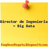 Director de Ingeniería – Big Data