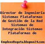 Director de Ingeniería Sistemas Plataformas de Gestión de la Red Sistemas de Integración Sistemas Plataformas de