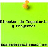 Director de Ingenieria y Proyectos