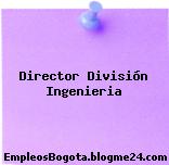 Director División Ingenieria