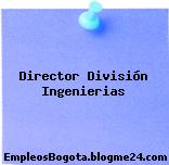 Director División Ingenierias