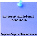 Director Divisional Ingenieria