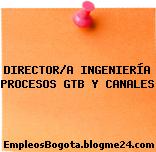 DIRECTOR/A INGENIERÍA PROCESOS GTB Y CANALES