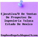 Ejecutiva/O De Ventas De Proyectos De Ingenieria Toluca Estado De Mexico