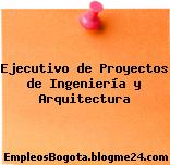 Ejecutivo de Proyectos de Ingeniería y Arquitectura