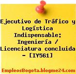 Ejecutivo de Tráfico y Logística Indispensable: Ingeniería / Licenciatura concluida – [IY561]
