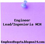 Engineer Lead/Ingenieria WCM