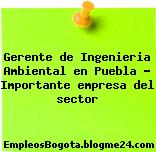 Gerente de Ingenieria Ambiental en Puebla – Importante empresa del sector