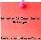 Gerente De Ingenieria Bilingue