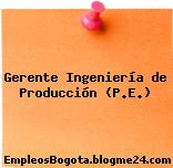 Gerente Ingeniería de Producción (P.E.)