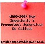 (HAG-200) Hgm Ingeniería Y Proyectos: Supervisor De Calidad